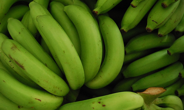 Export Quality Banana